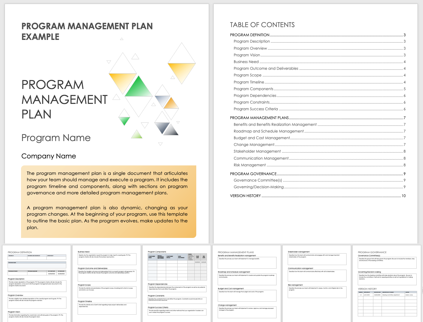 Program Management Plan Sample