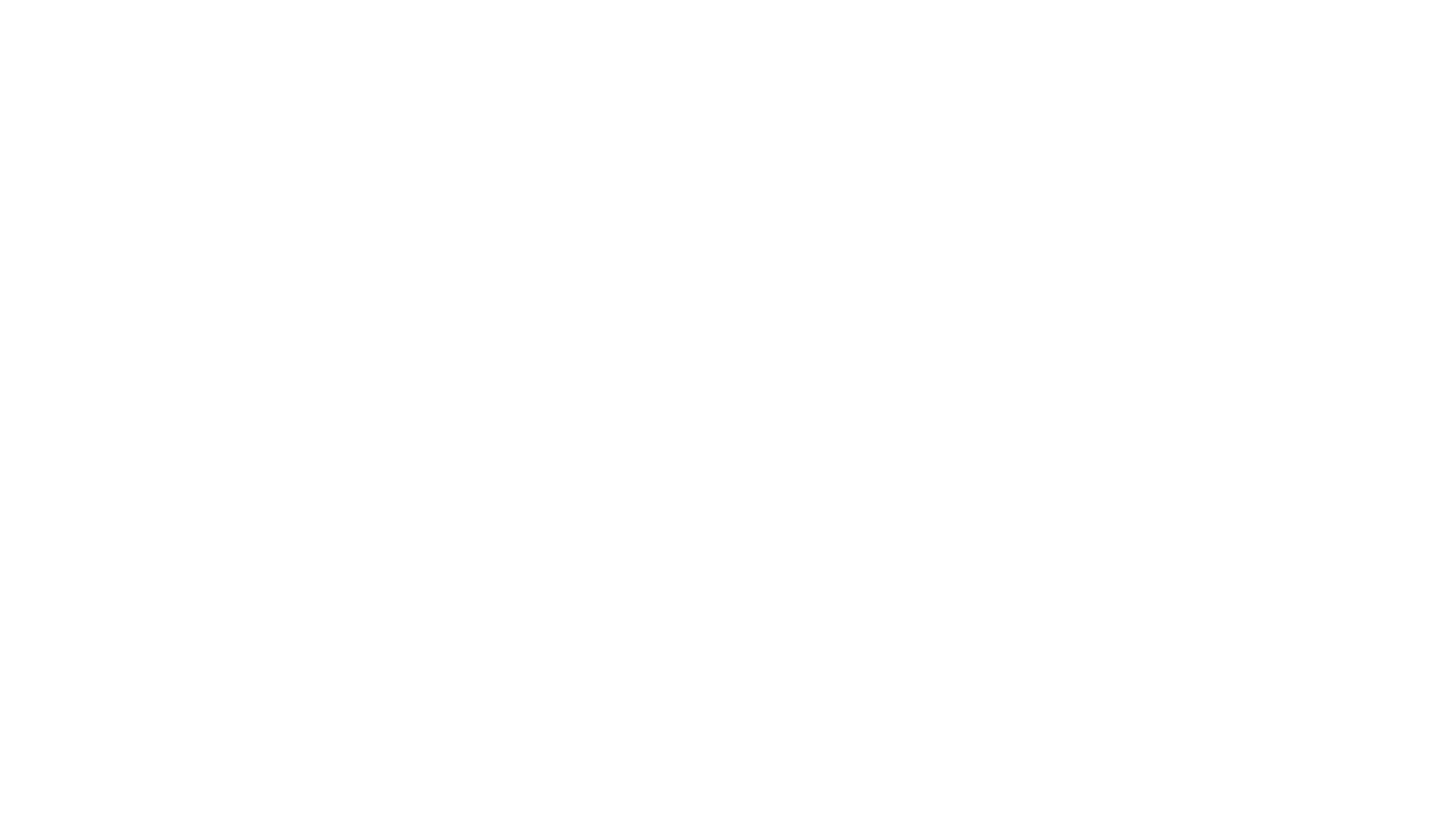 Stb logo