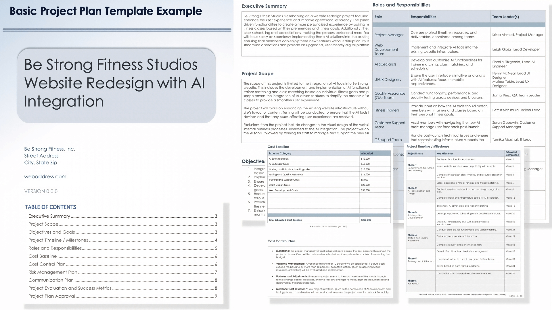 Basic Project Plan Template Example