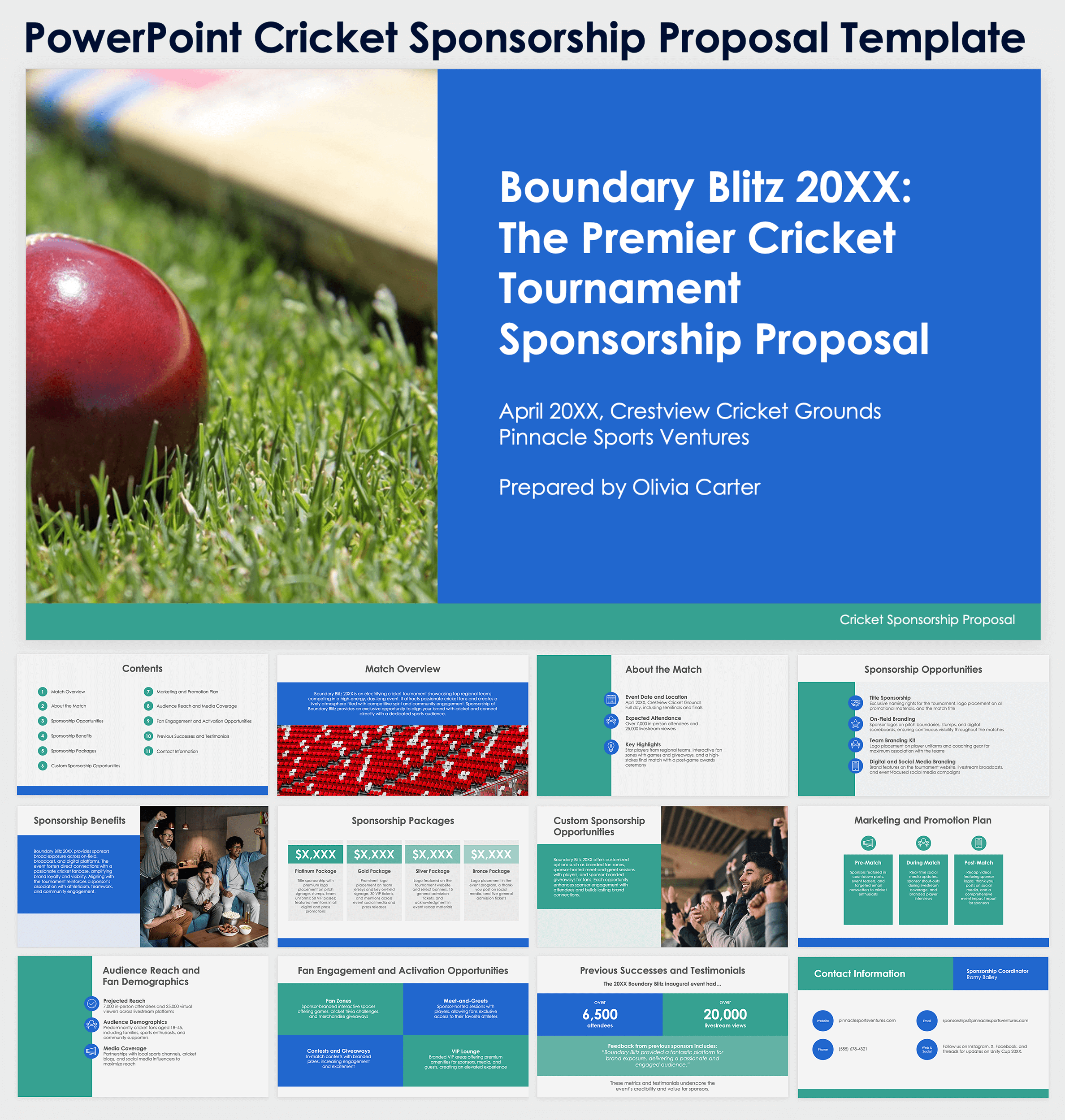PowerPoint Cricket Sponsorship Proposal Template