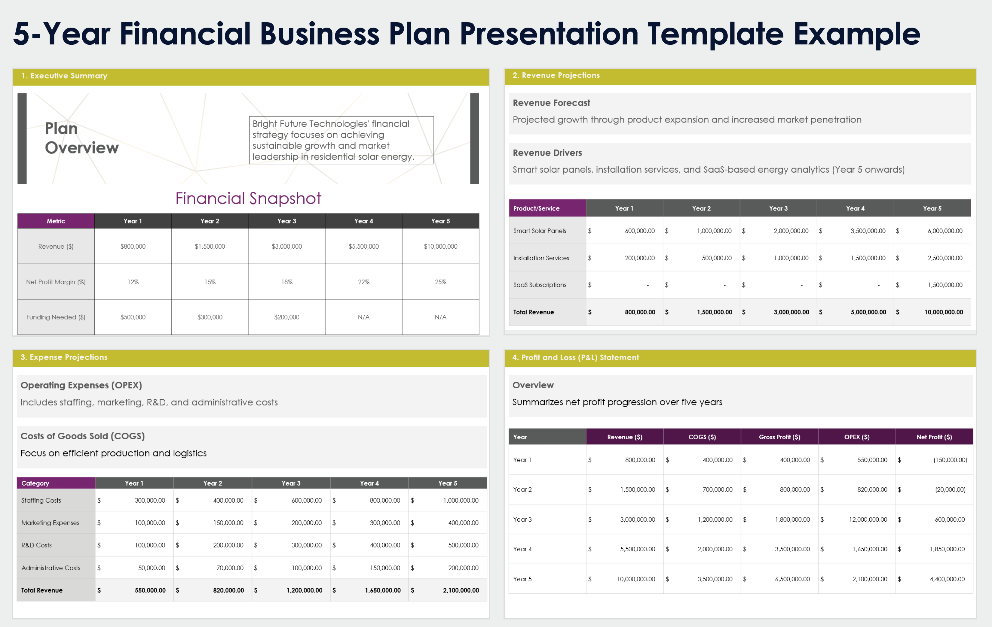 5 Year Financial Business Plan Presentation Template 12324 Example