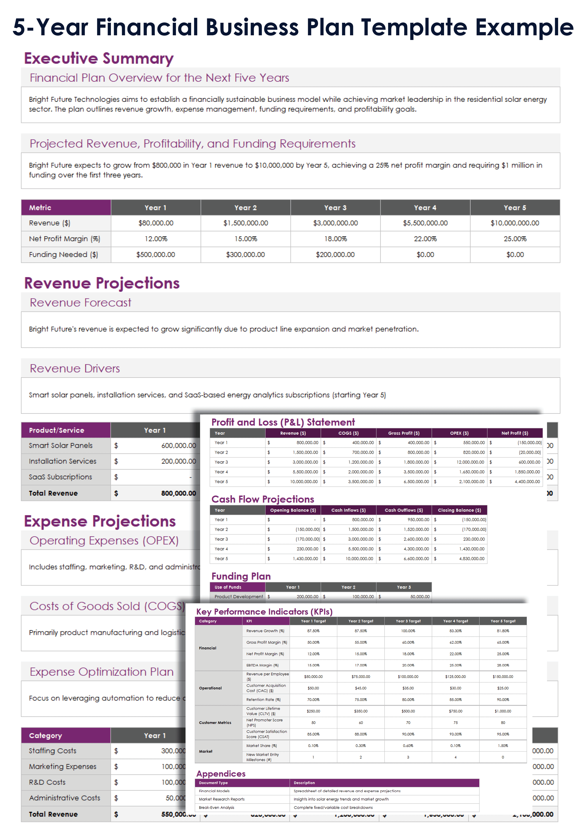 5 Year Financial Business Plan Template 12324 Example