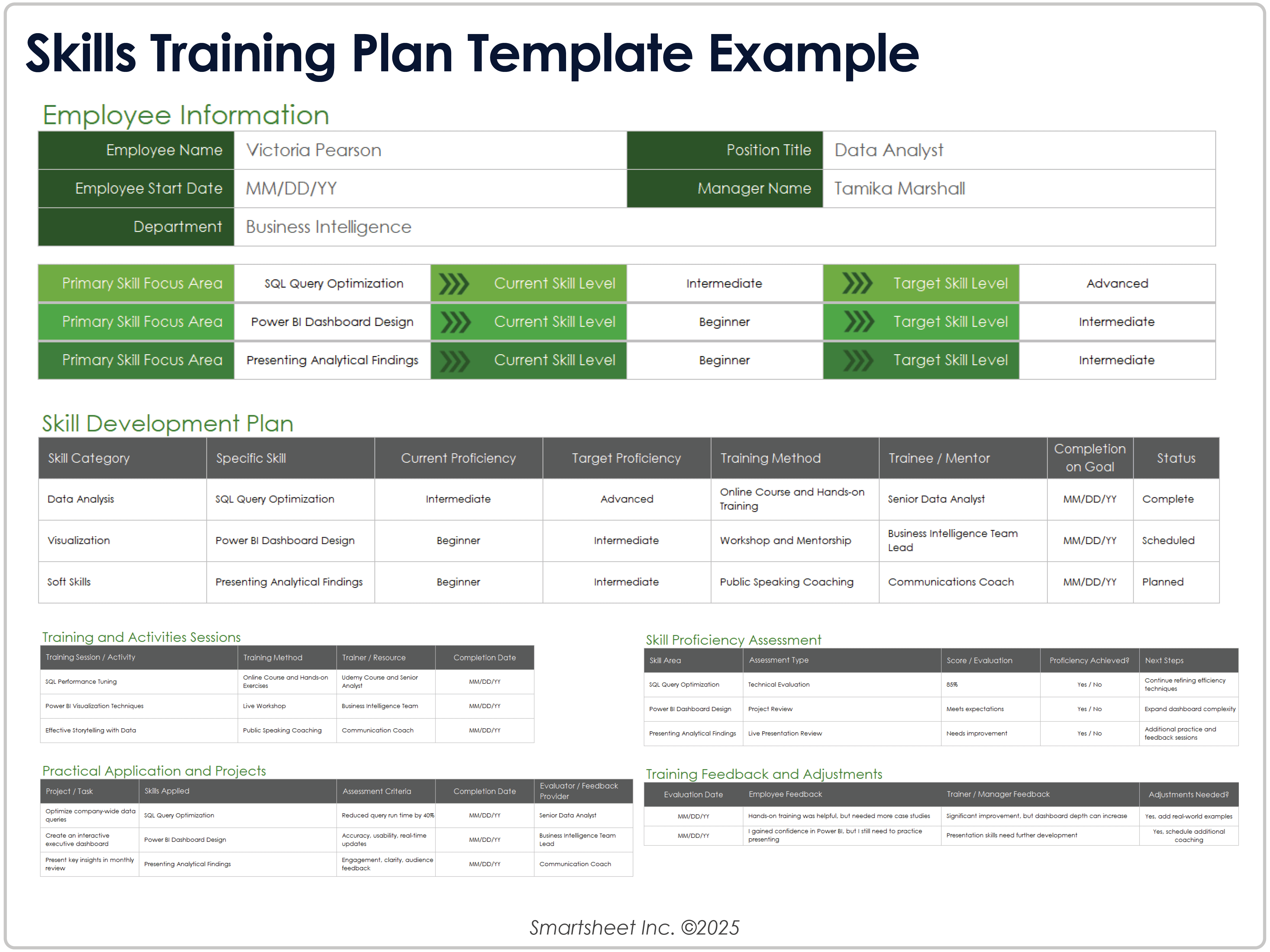 Skills Training Plan Template Example