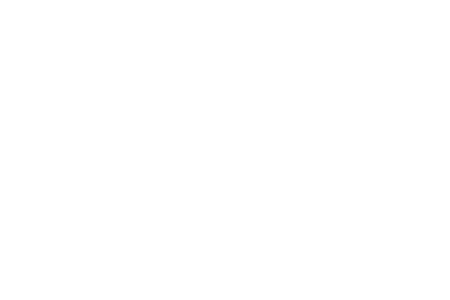 official_logo_white.png logo