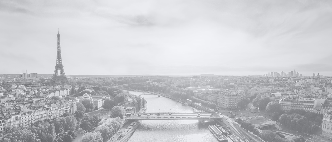 Paris B&W cityscape