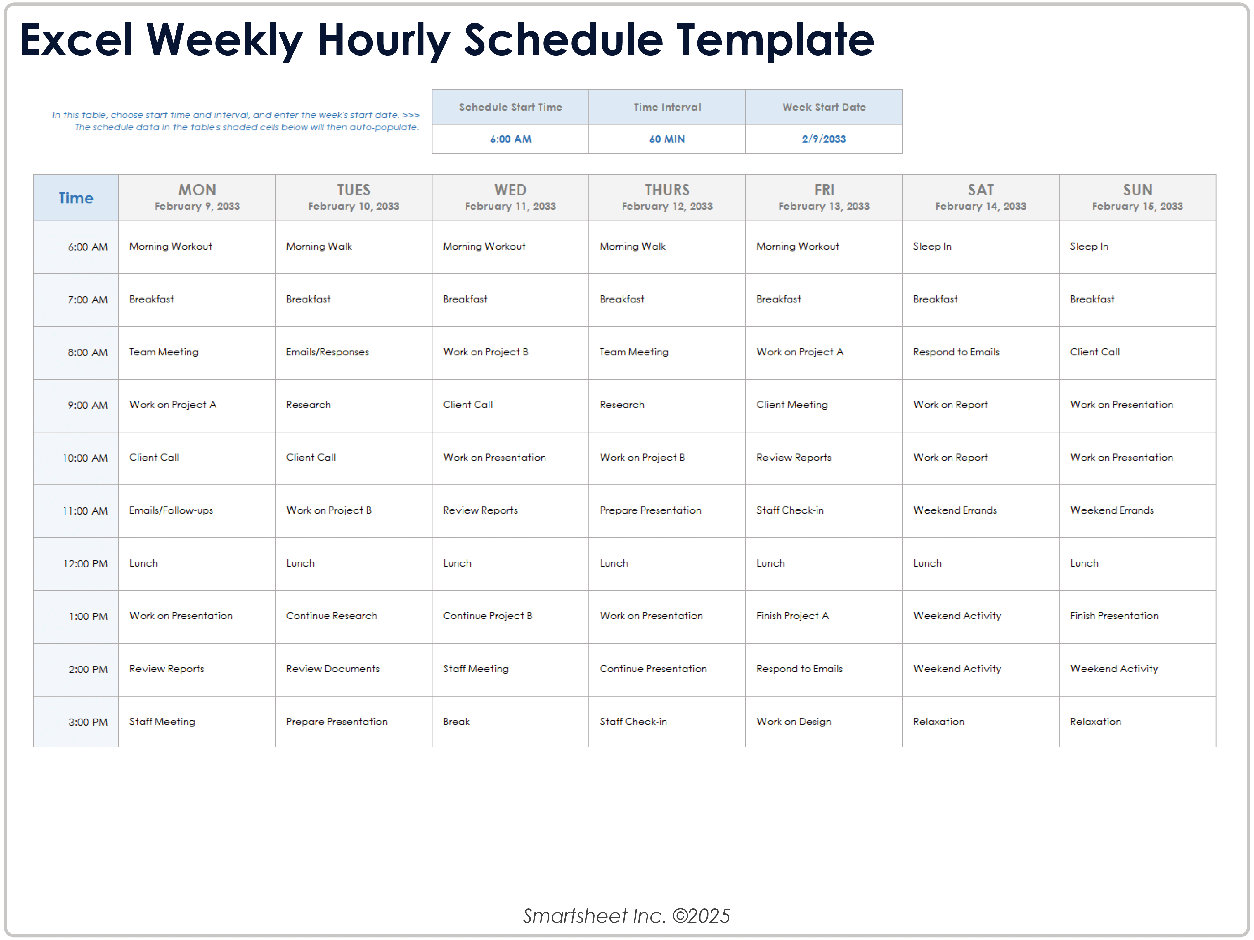 Excel Weekly Hourly Schedule Template