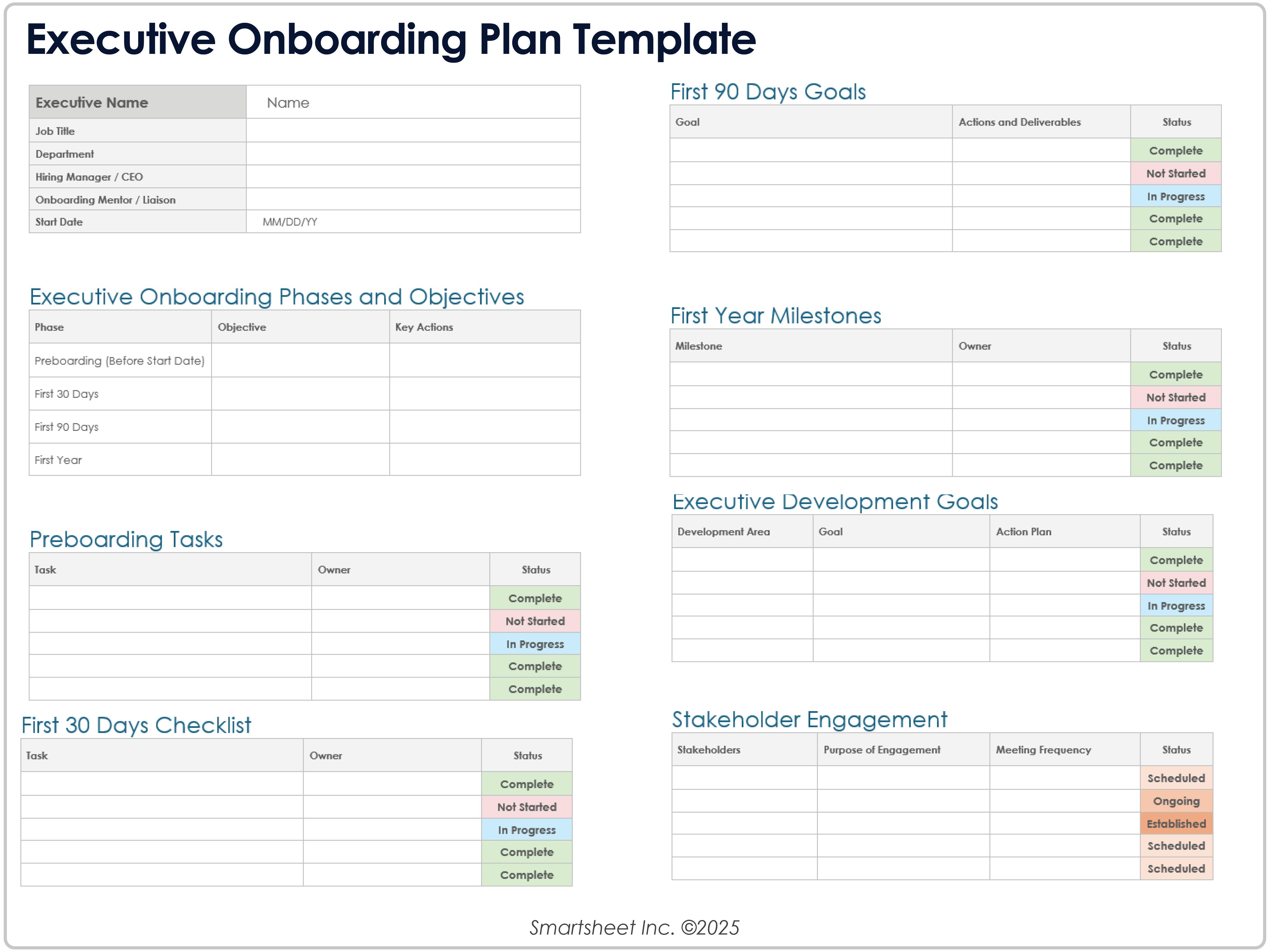 Executive Onboarding Plan 8779 Template