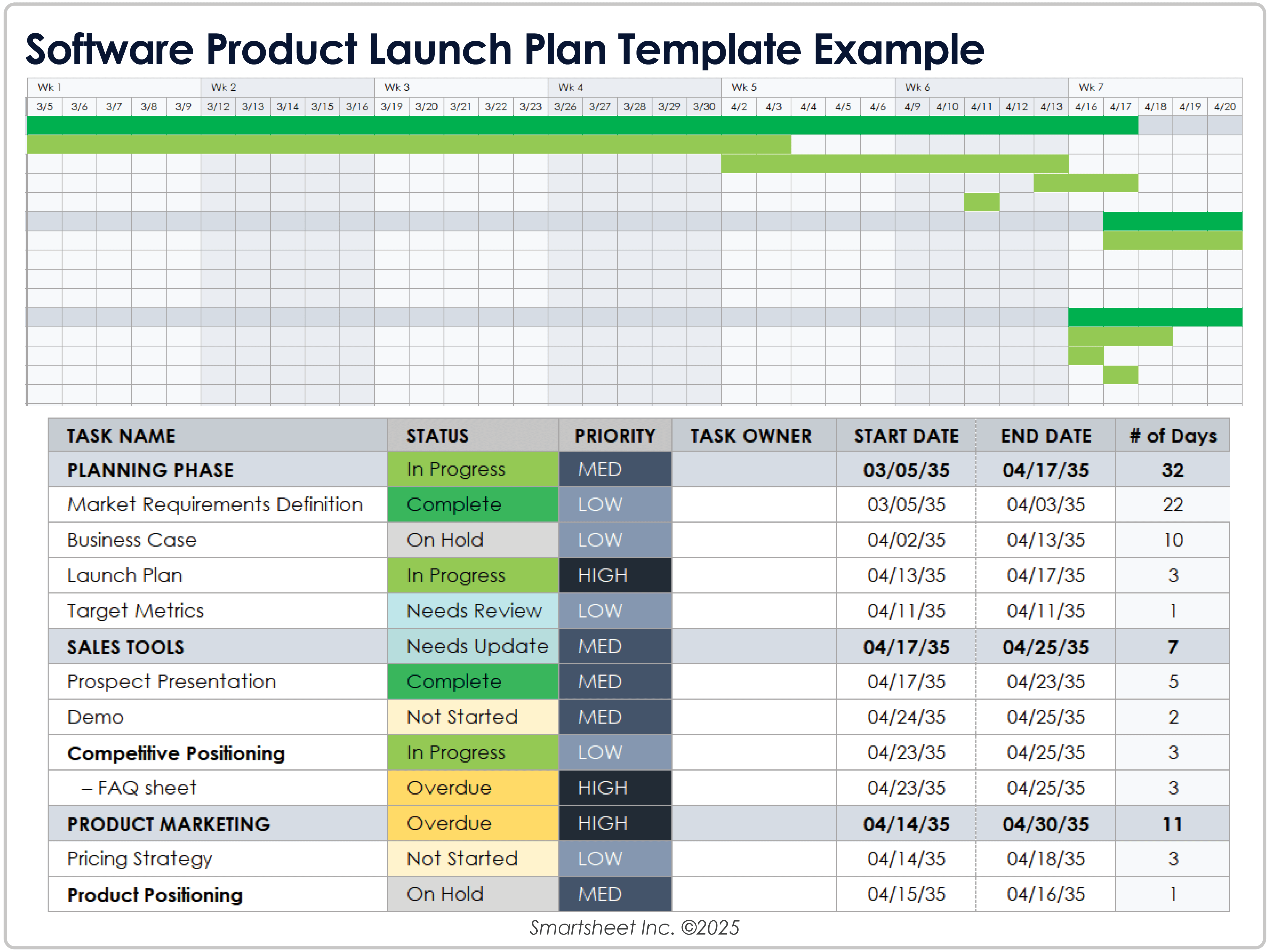 Software Product Launch Plan 12365 Example