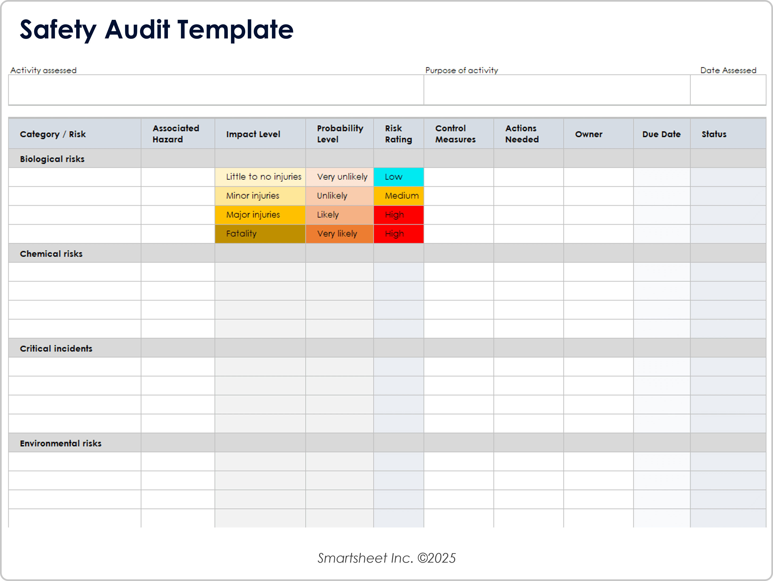 Safety Audit Template