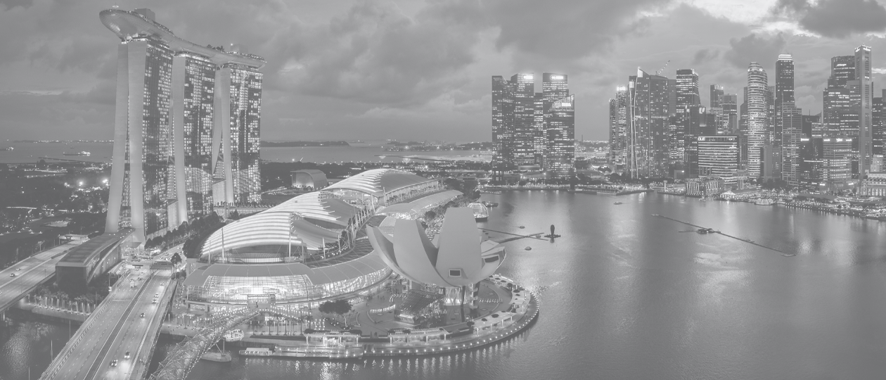 Singapore cityscape b&w