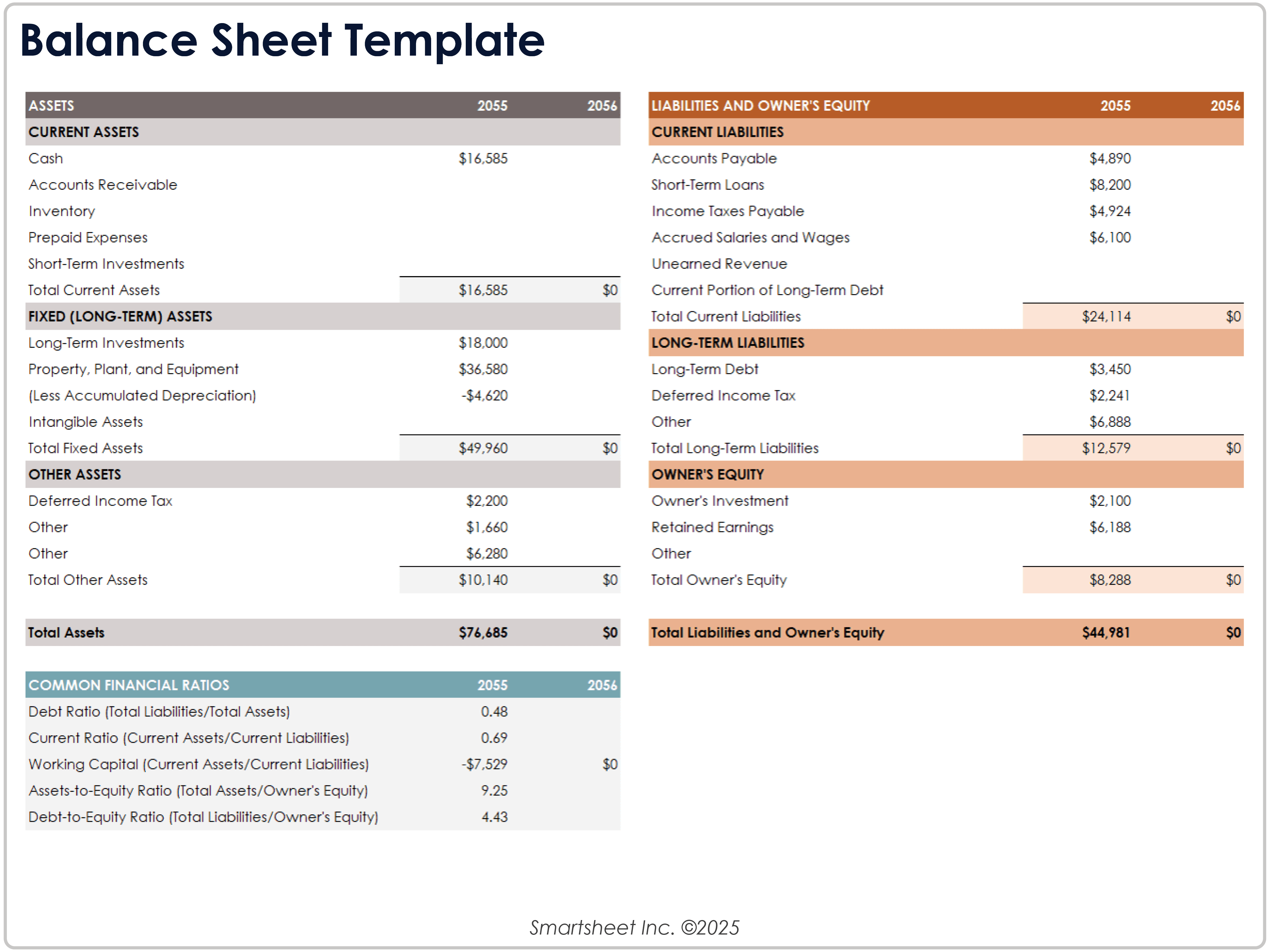 Balance Sheet Template 8781