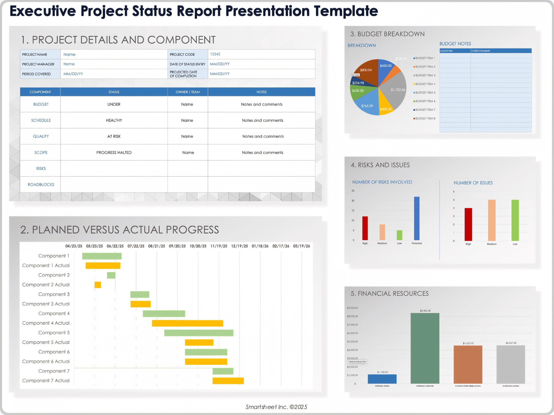Executive Project Status Report Presentation Template