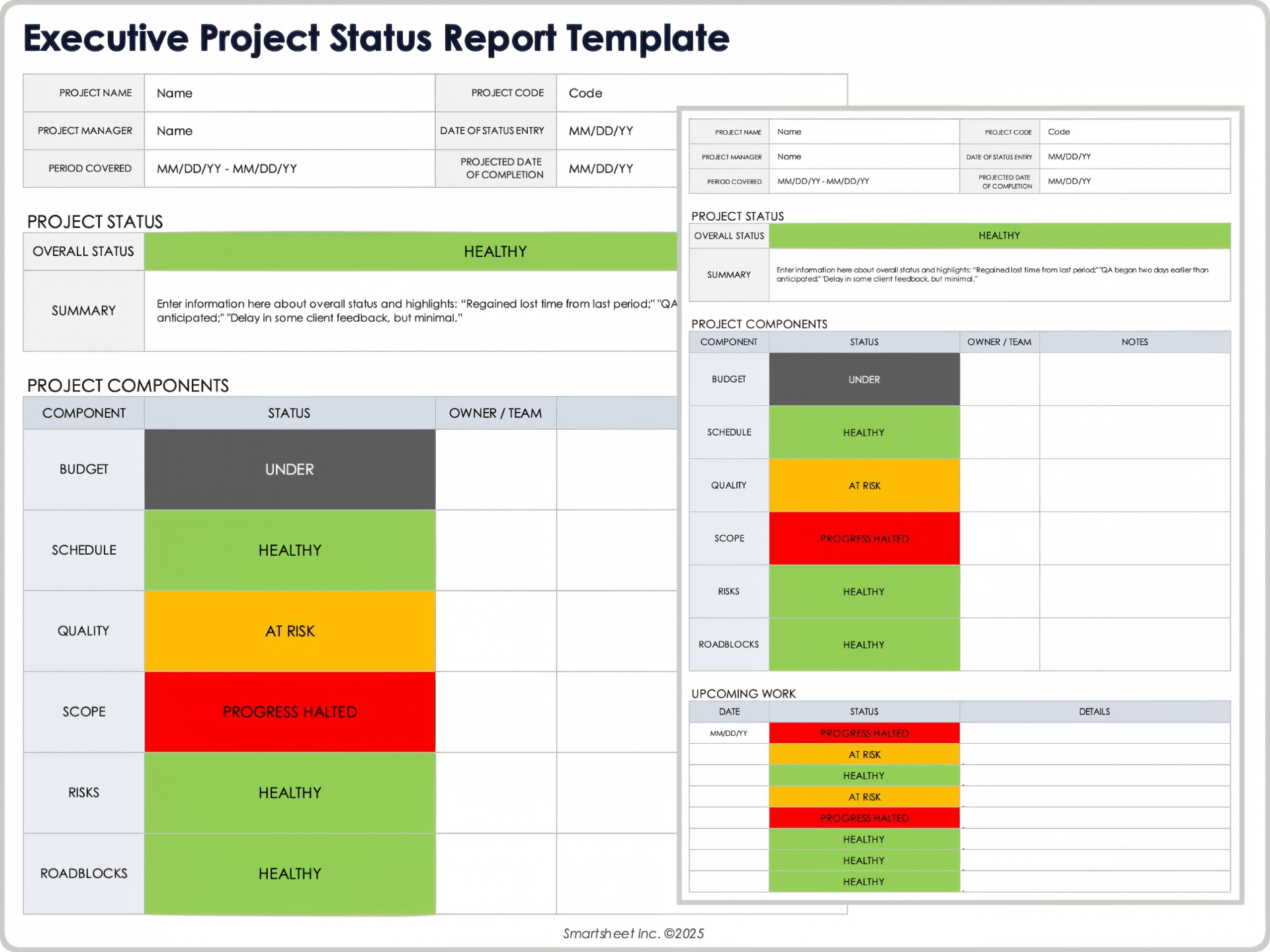 Executive Project Status Report Template
