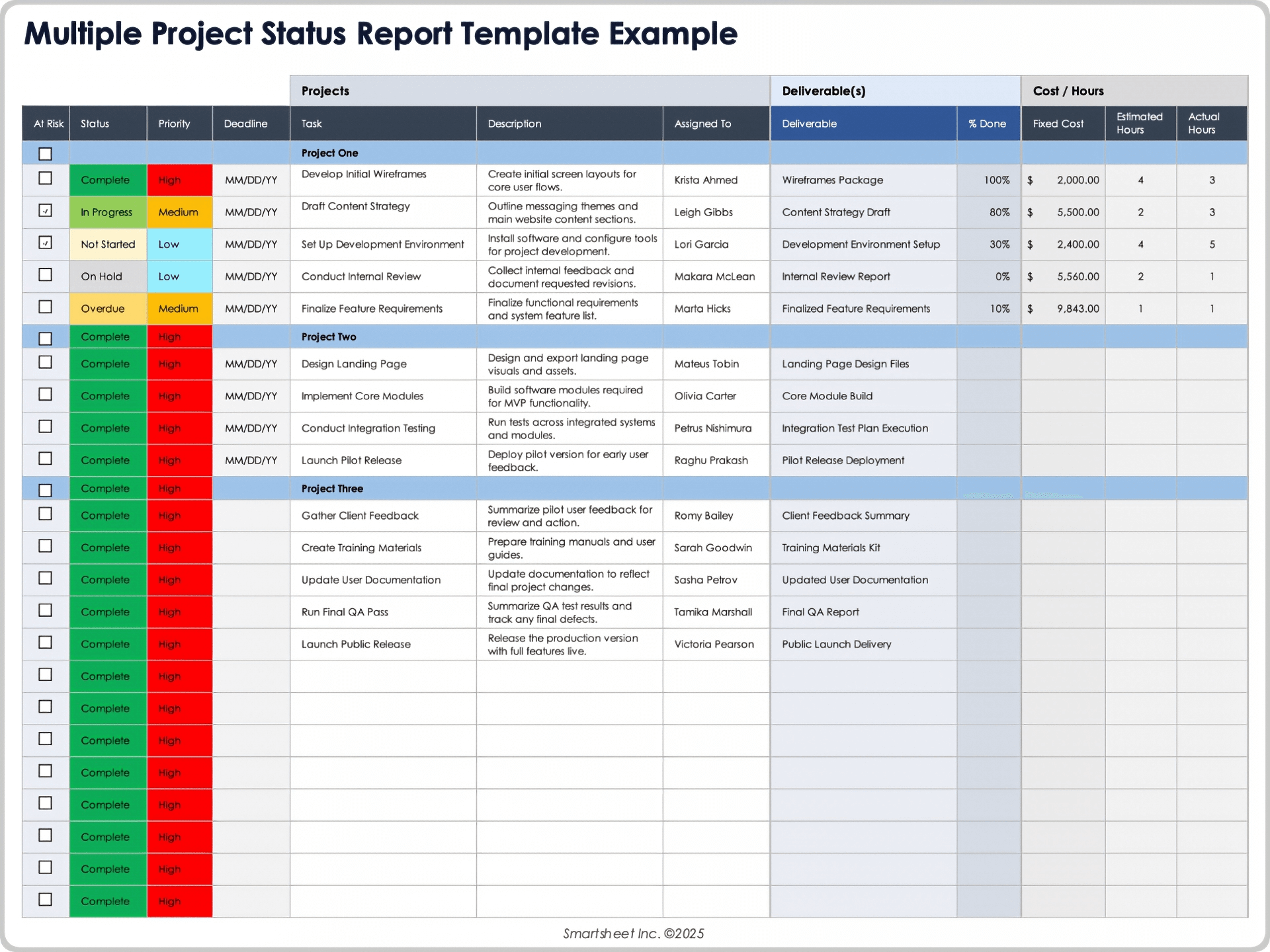 Multiple Project Status Report Template Example