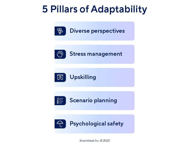 PPM Priorities Report 5 Pillars Adaptability