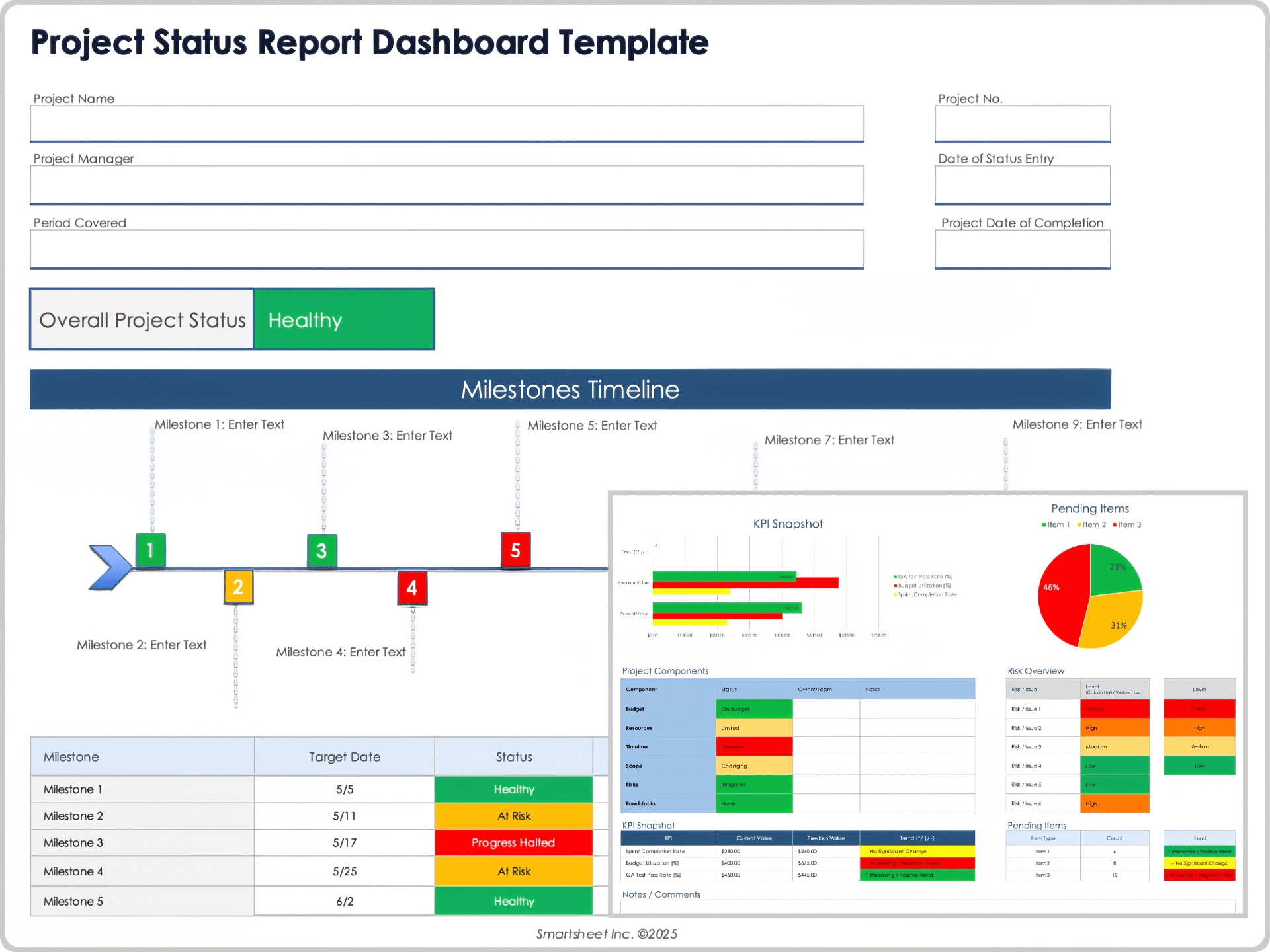 Project Status Report Dashboard Template