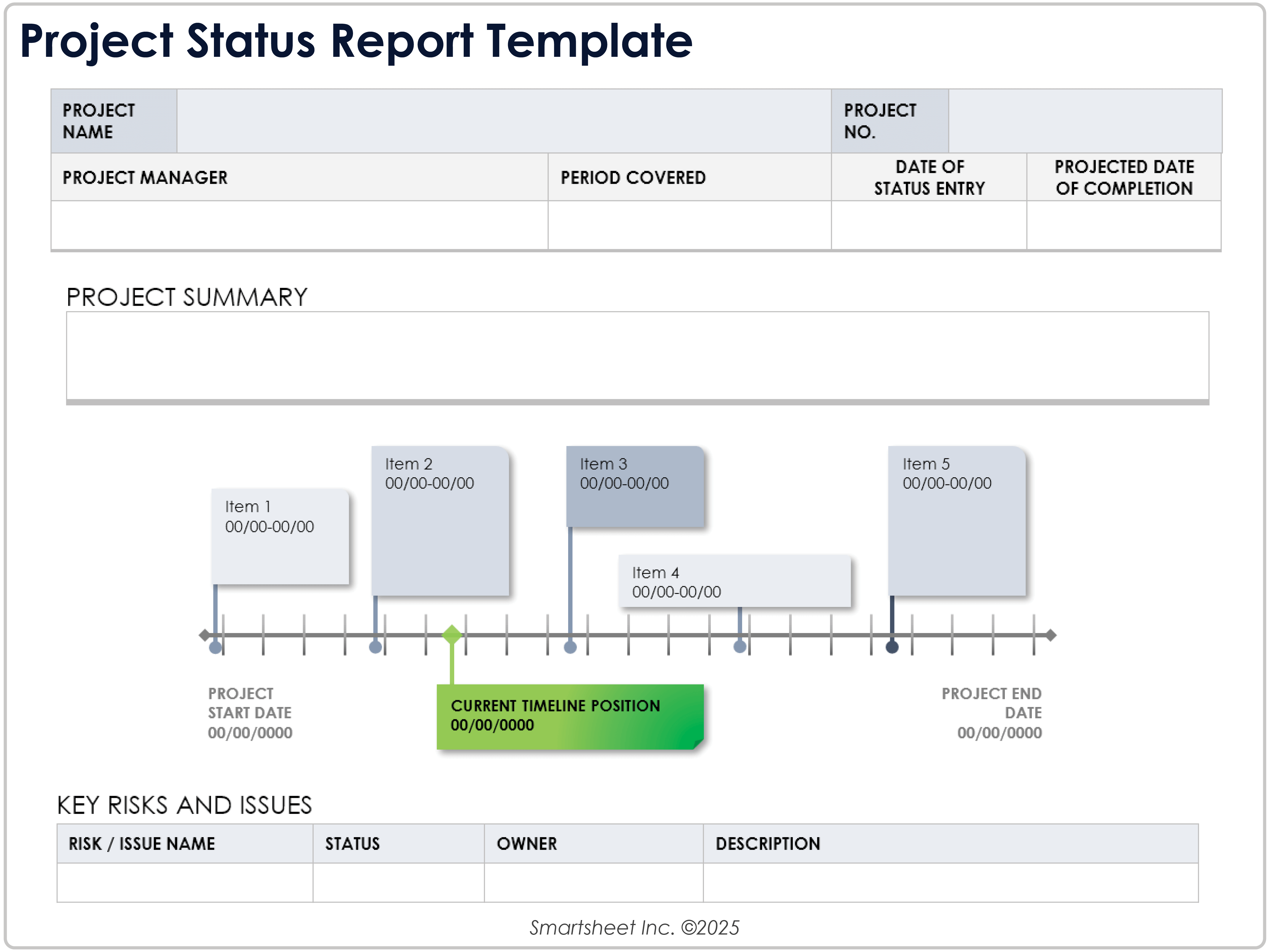 Project Status Report Template 8781