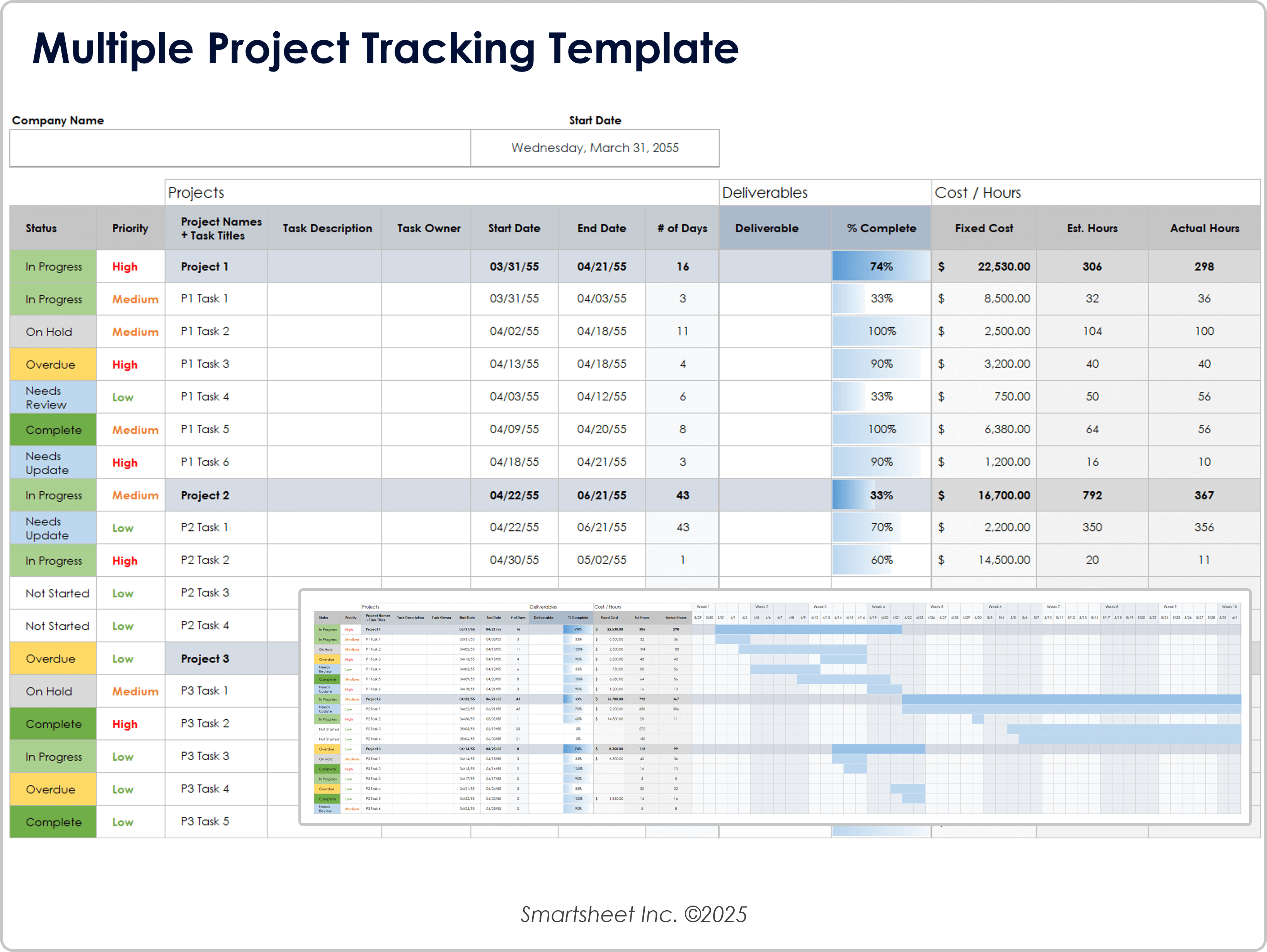 Multiple Project Tracking Template