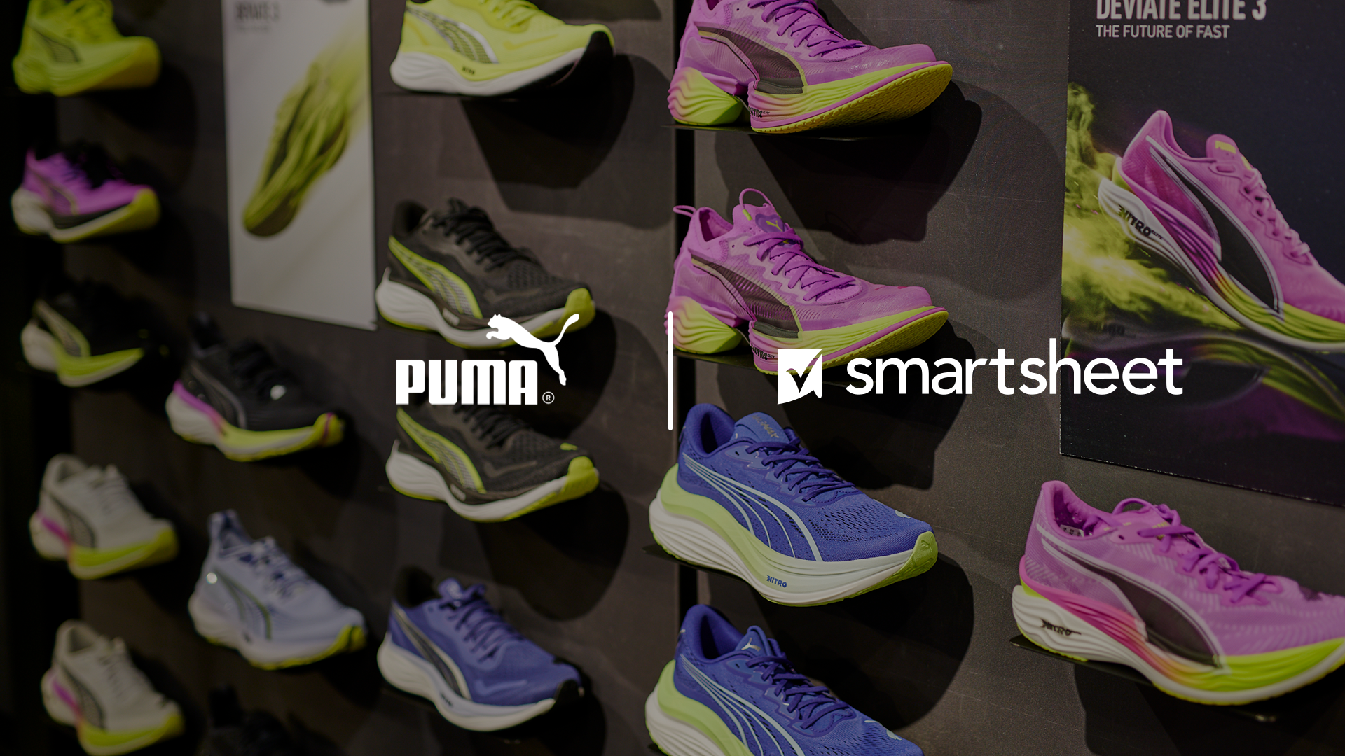 puma-thumbnail