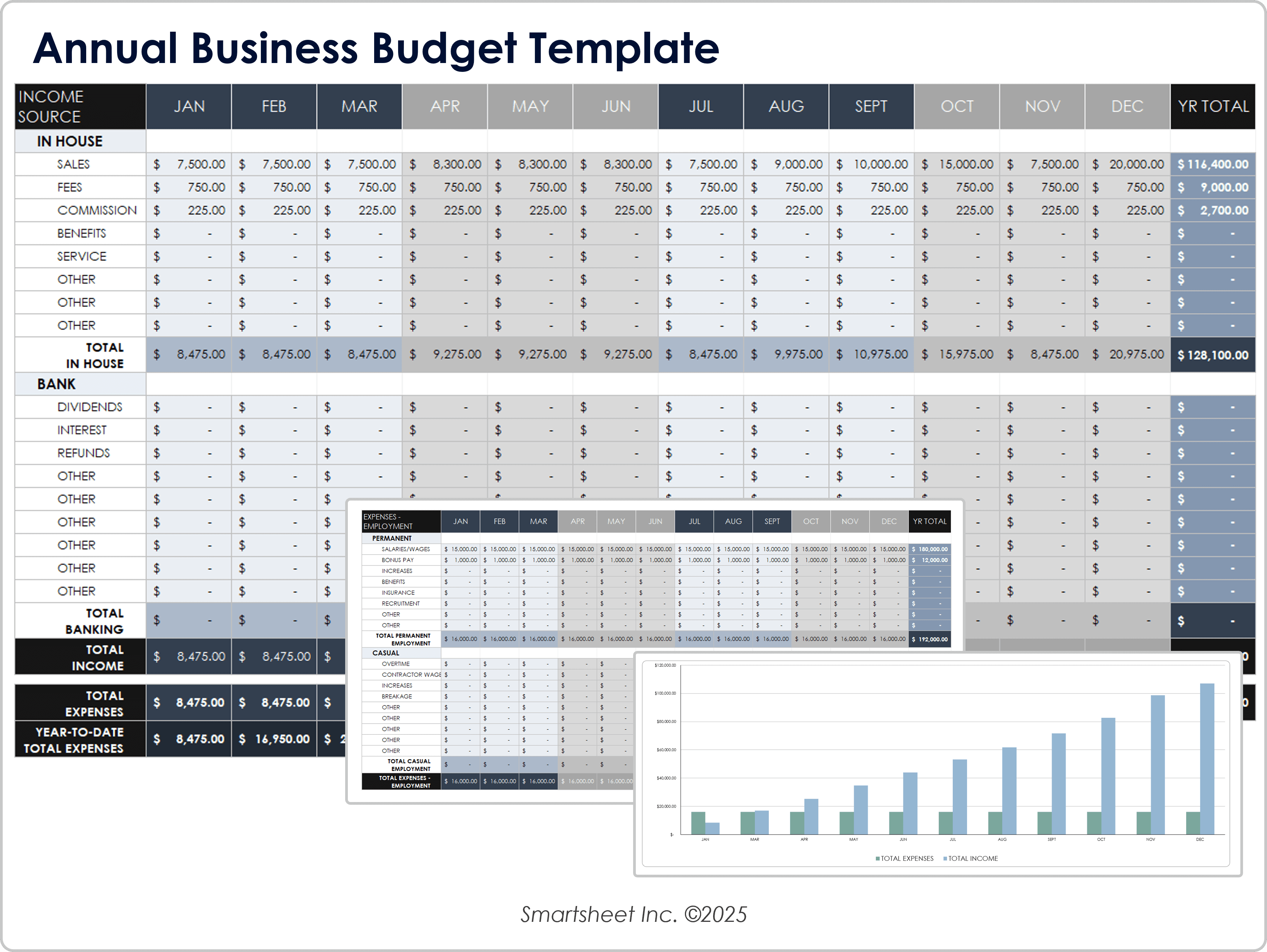 Annual Business Budget Template 10995