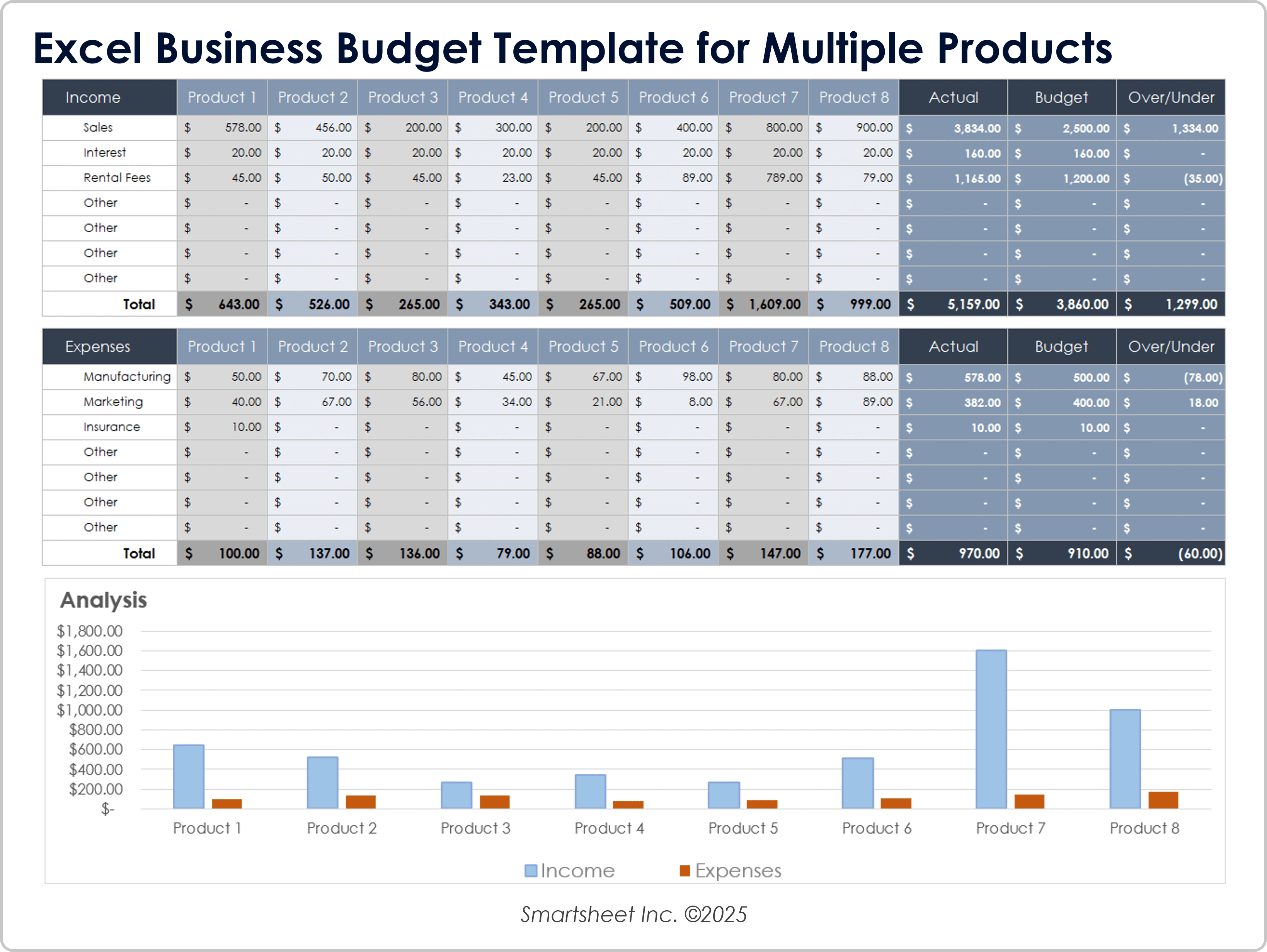 Excel Business Budget Template for Multiple Products