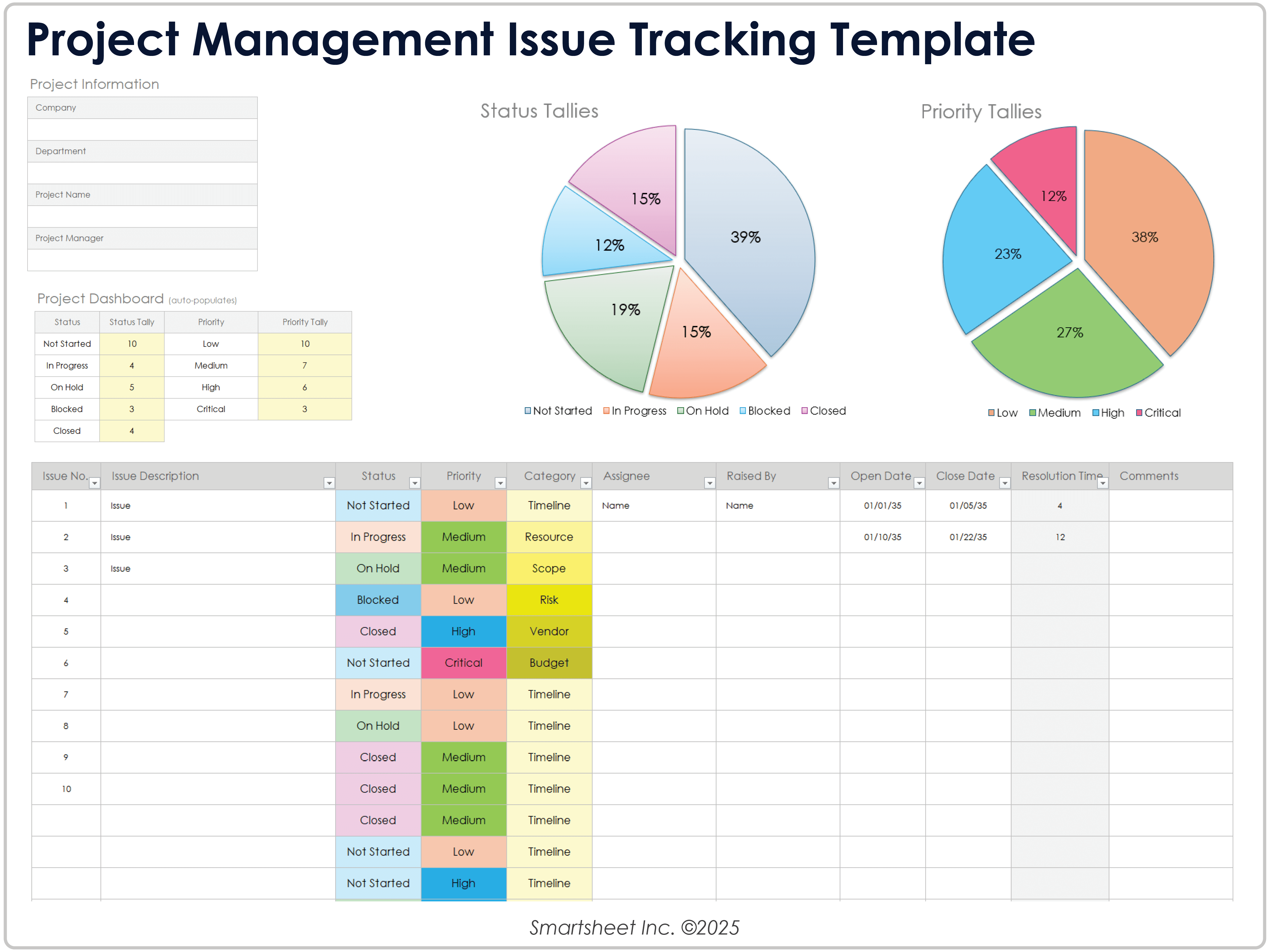 Project Management Issue Tracking Template