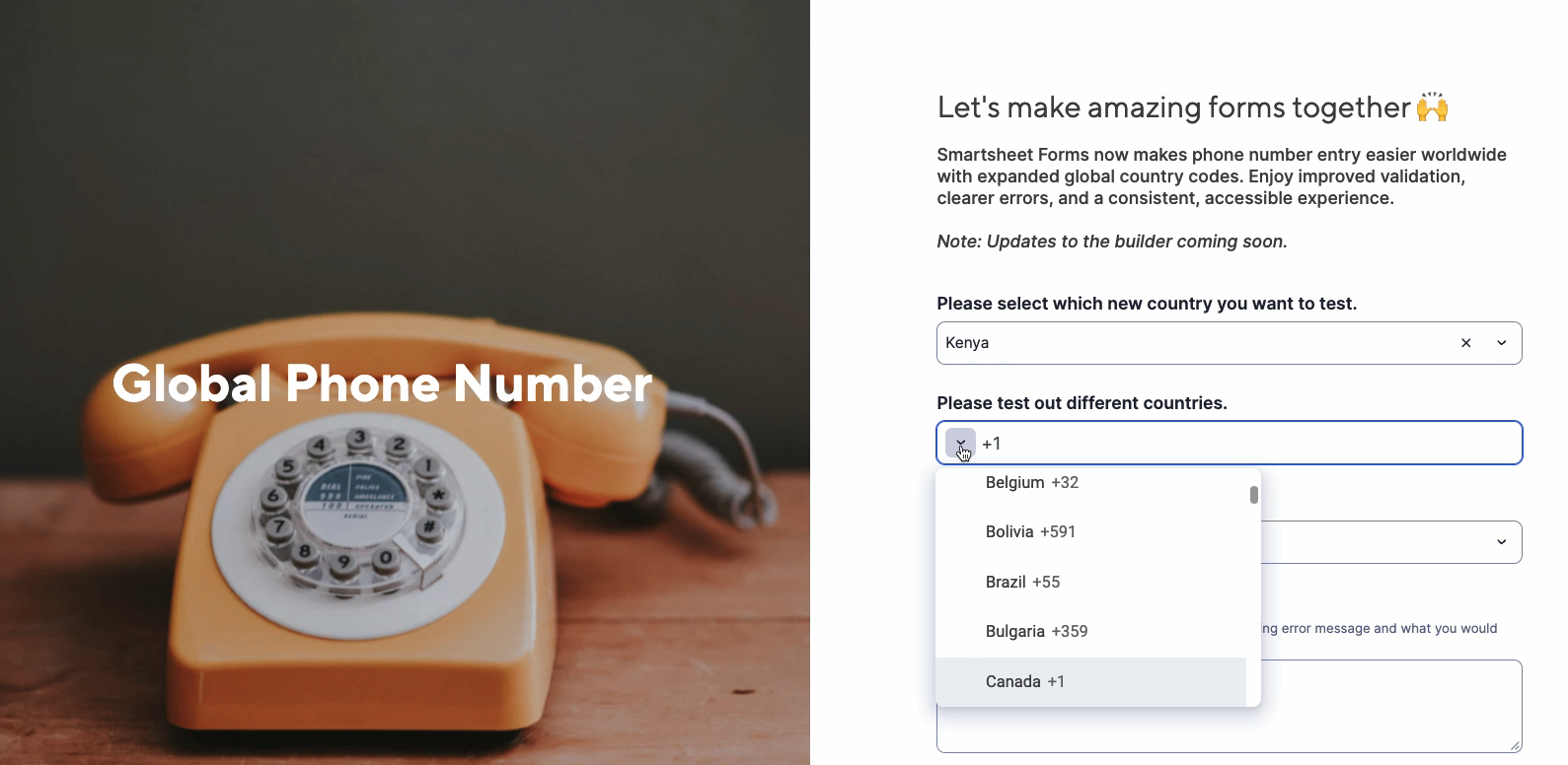 Expanded phone number entry support for forms