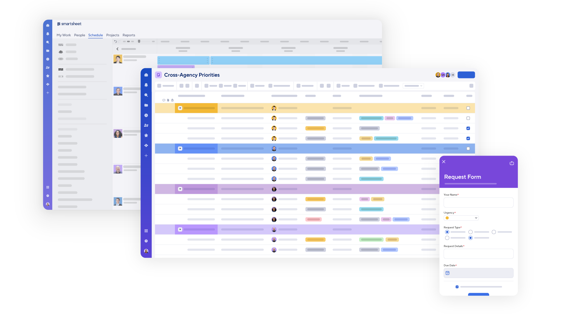 A request form within Smartsheet