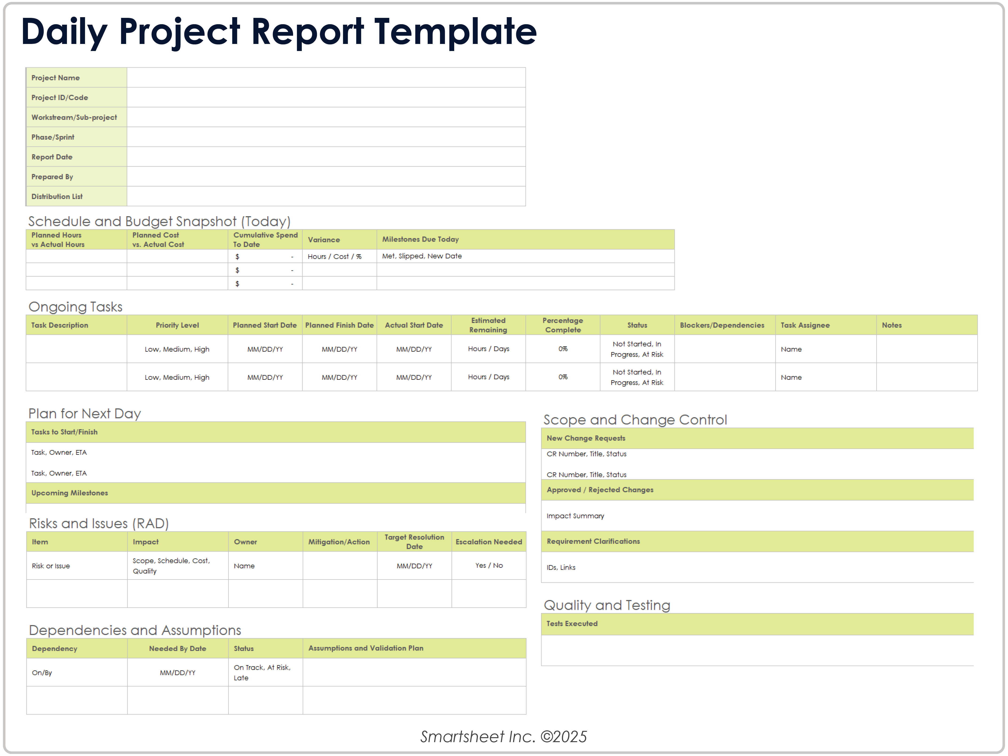 Daily Project Report Template