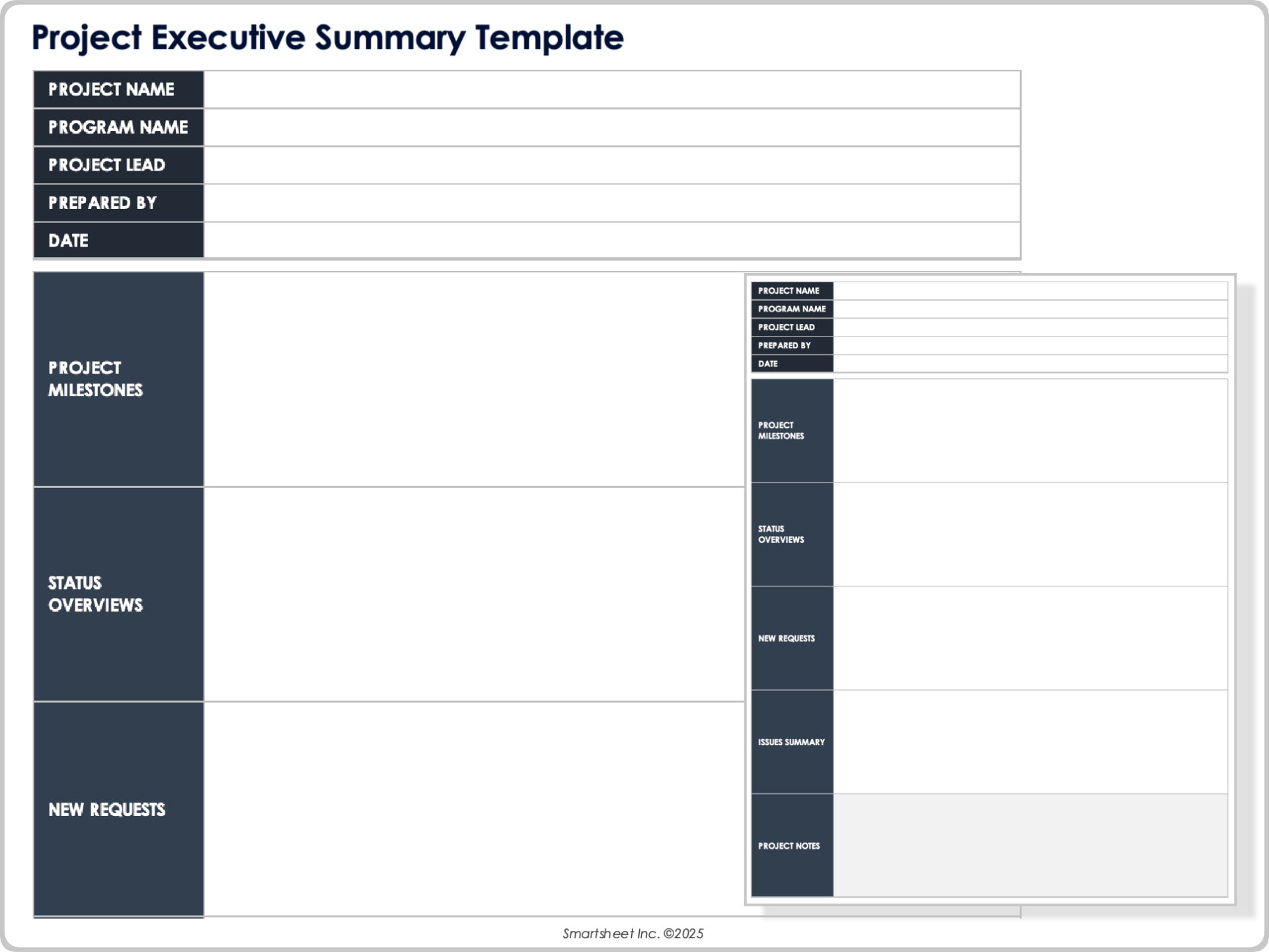 Project Executive Summary Template