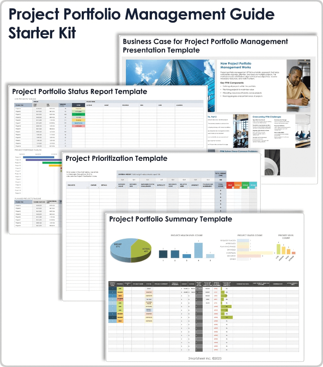 Project Portfolio Management Starter Kit