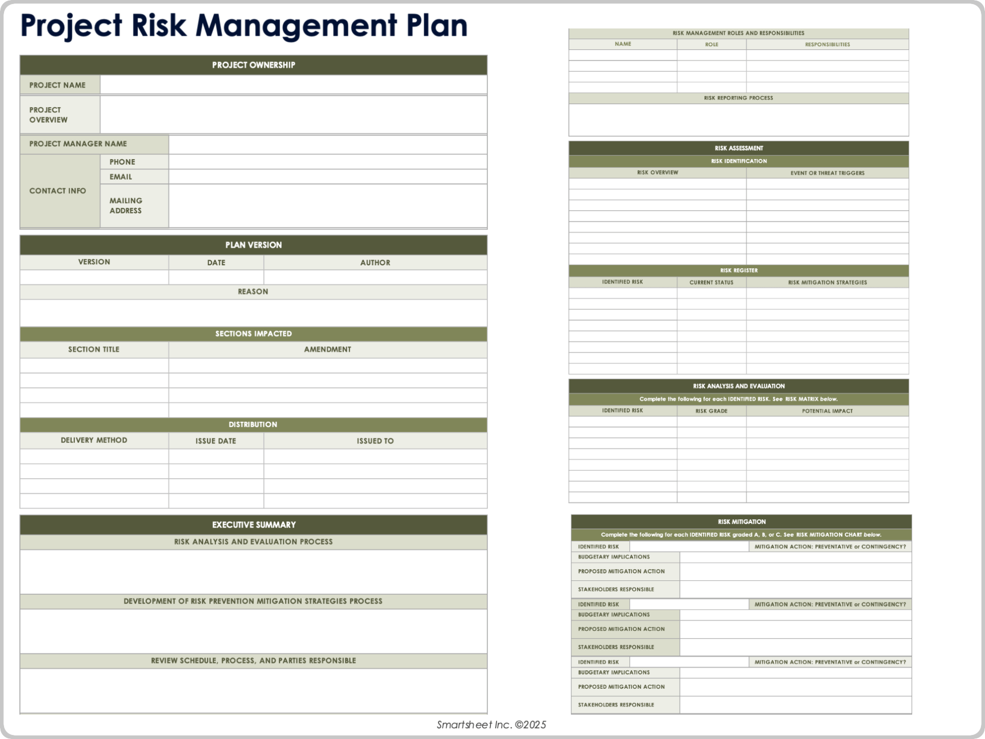 Project Risk Management Plan
