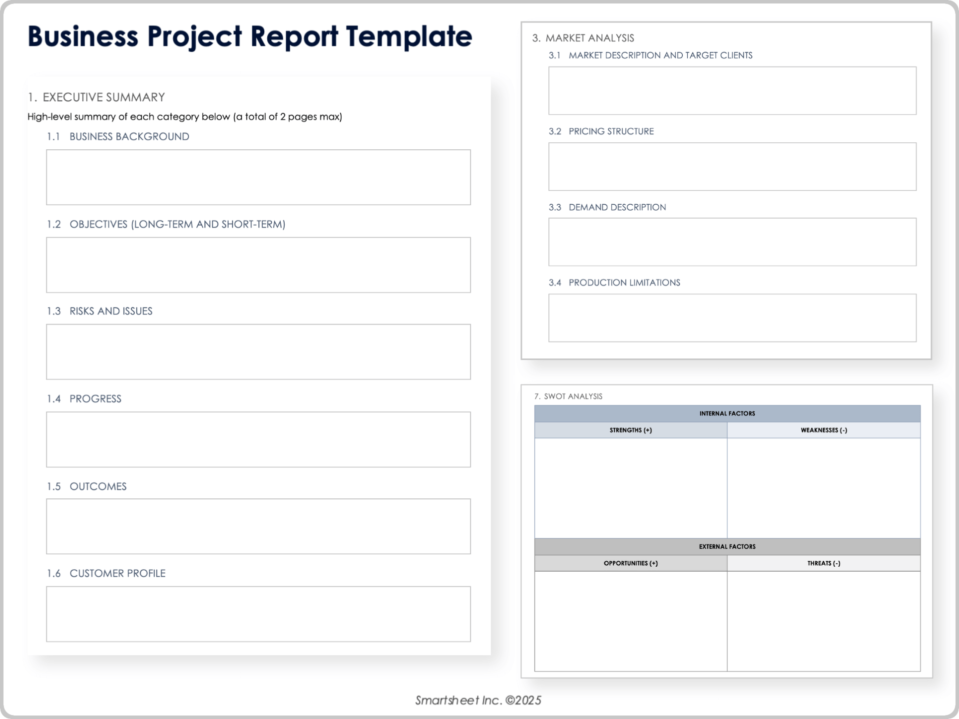Business Project Report Template