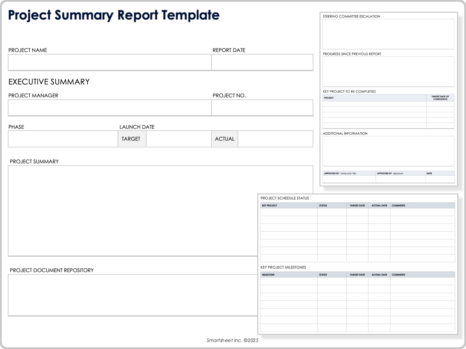 project summary report template