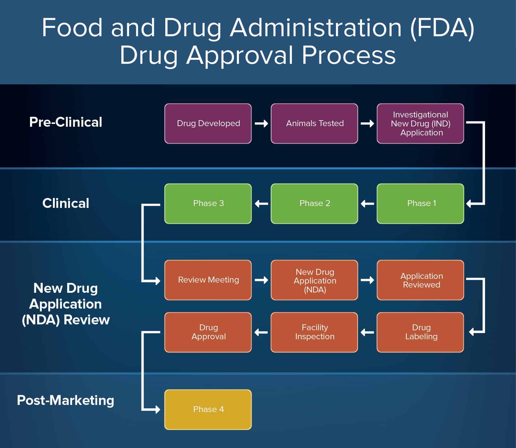 New drug approval process slideshare