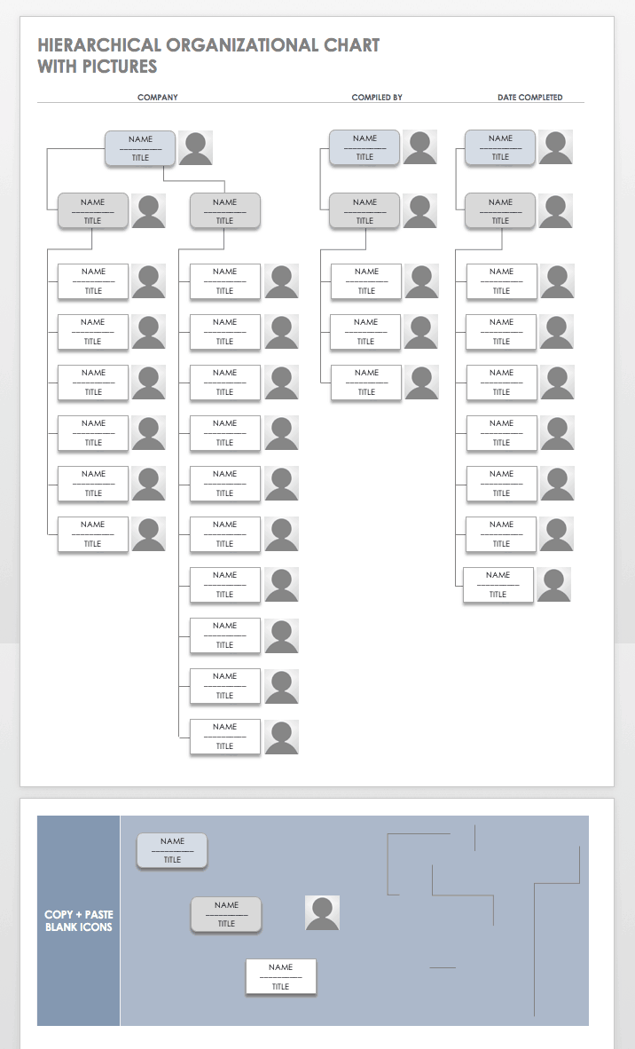 organizational chart word doc