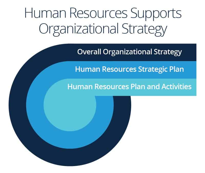 Human Resource Planning The Organization s Long