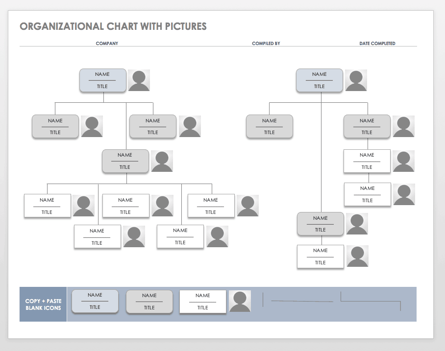 organizational chart word doc