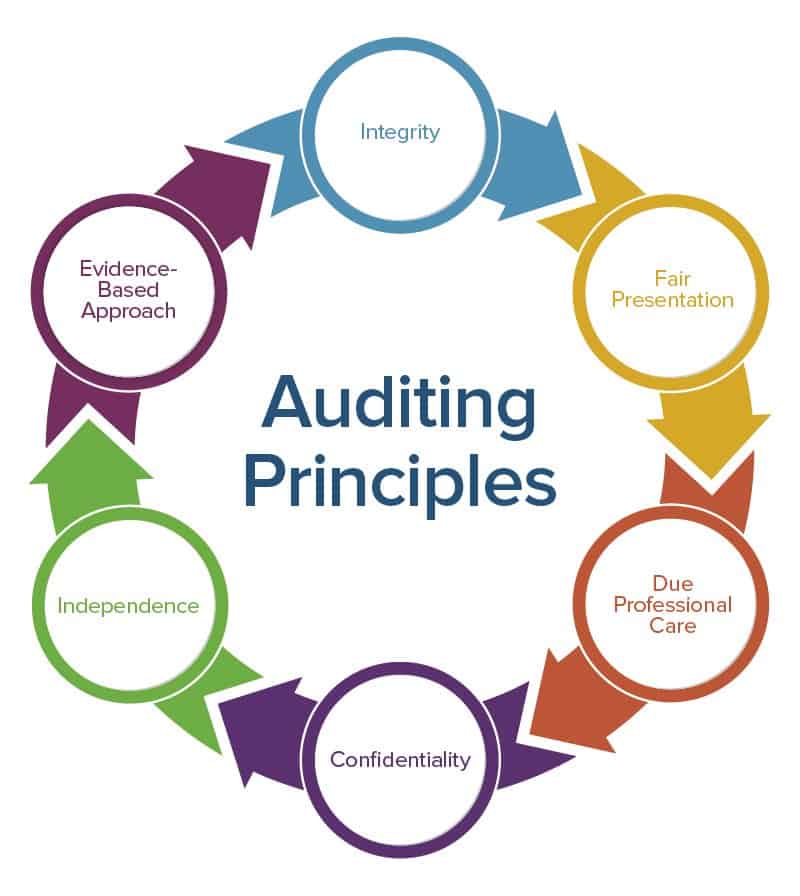 principle of auditing