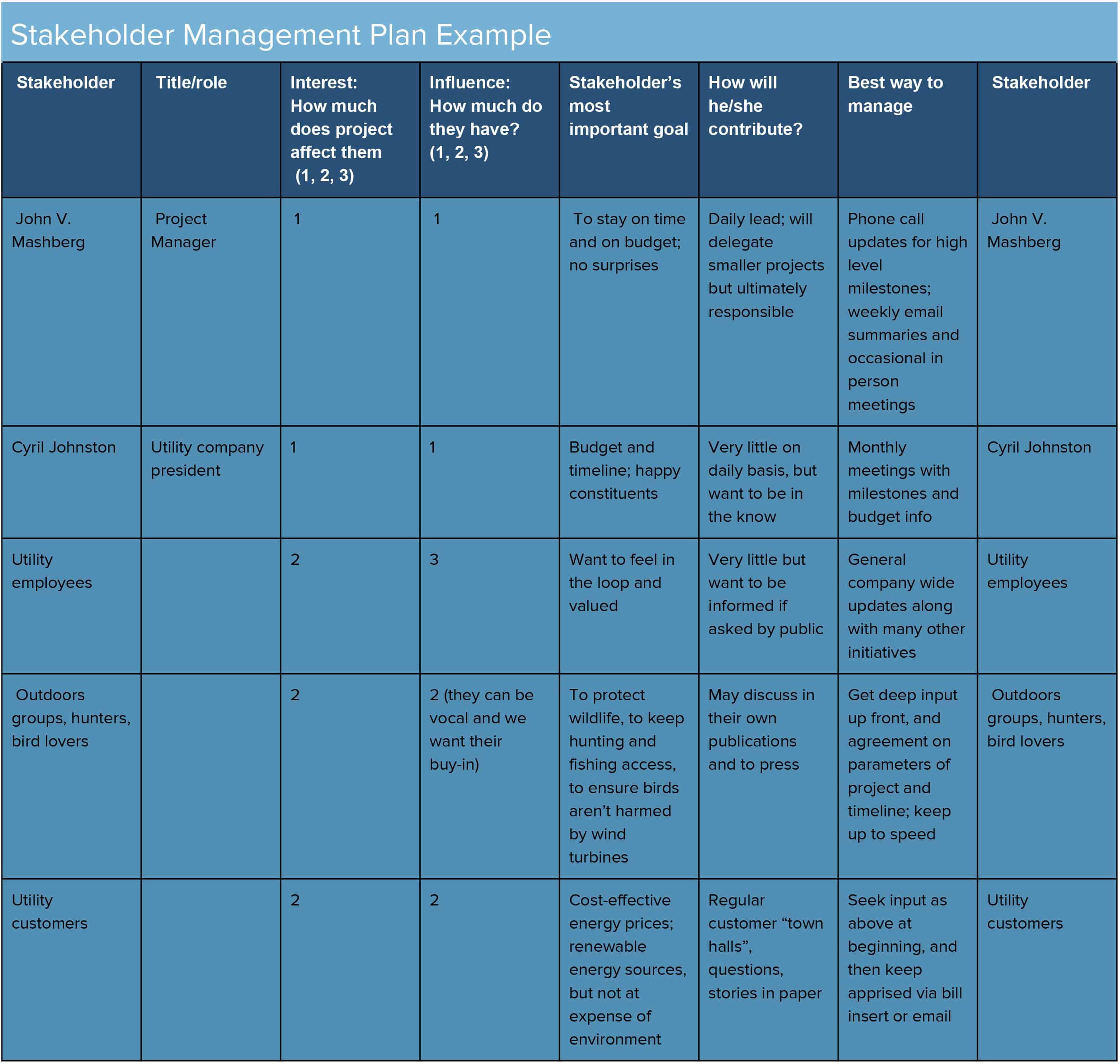 project stakeholder management thesis