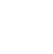 Bayer logo