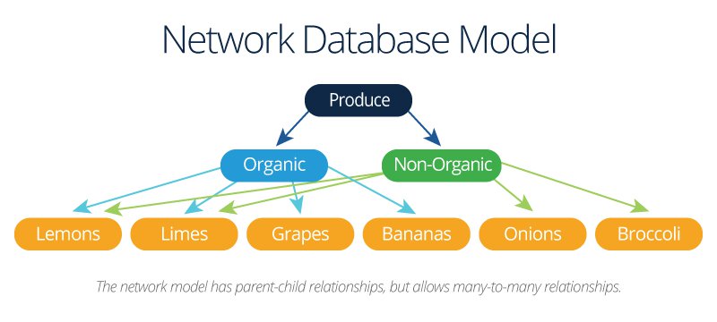 Network Database Model Diagram