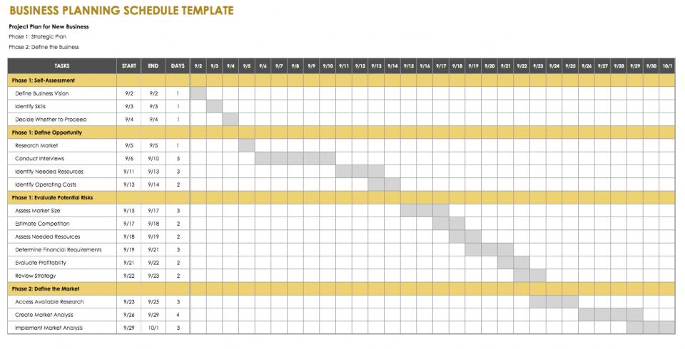 IC Business Planning Schedule Template