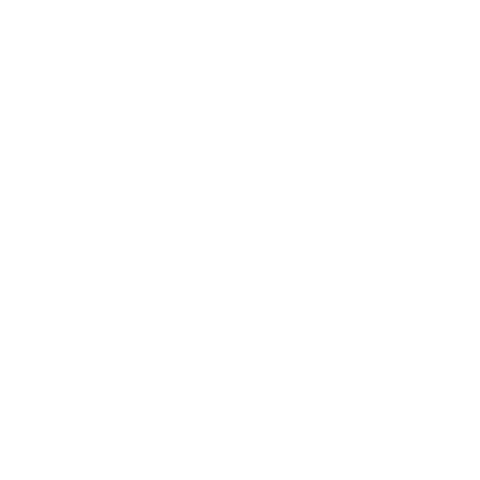 Flowserve logo