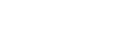 Alluvionic logo