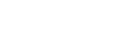 FINIS logo